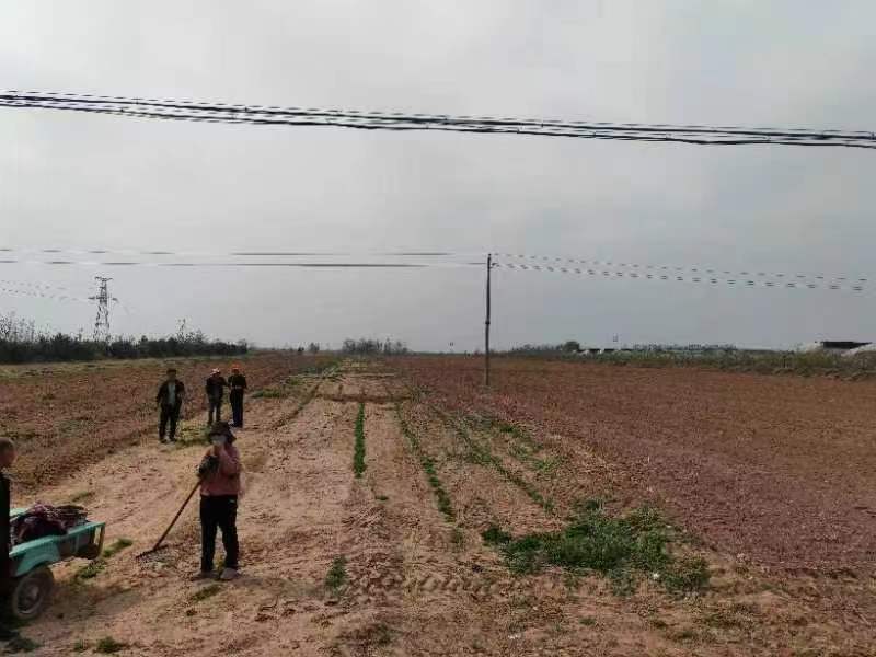 陕西千亩智慧农田基地启动，引领农业进入智能化新时代
